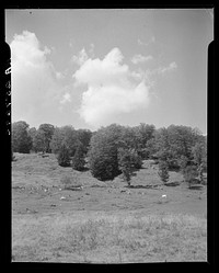 Farm scene. Orange County, Vermont. Sourced from the Library of Congress.