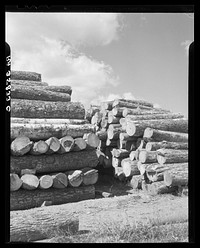 Logs for veneer mill at Morrisville, Vermont. Sourced from the Library of Congress.