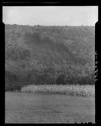 [Untitled photo, possibly related to: Erosion. Otsego County, New York]. Sourced from the Library of Congress.