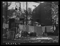 Backyard in  area. Washington, D.C.. Sourced from the Library of Congress.