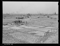 Gardens for the unemployed. Newark, New Jersey. City dump ("Jersey Meadows"). Squatters' houses. Sourced from the Library of Congress.