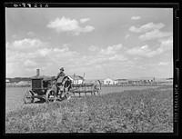 Farmer with tractor and cultivator. Fairfield Bench Farms, Montana. Sourced from the Library of Congress.