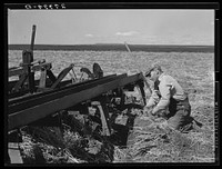 [Untitled photo, possibly related to: Tractor with noble blade on Sheffels' wheat farm. Cascade County, Montana]. Sourced from the Library of Congress.