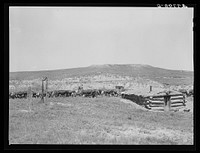 [Untitled photo, possibly related to: Homesteader's abandoned dugout. Custer County, Montana]. Sourced from the Library of Congress.