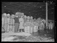 Commission buyers looking at green vegetables at produce market. Pier 29, New York City. Sourced from the Library of Congress.