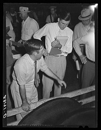 [Untitled photo, possibly related to: Hog auction. Central Iowa Fair, Marshalltown, Iowa]. Sourced from the Library of Congress.