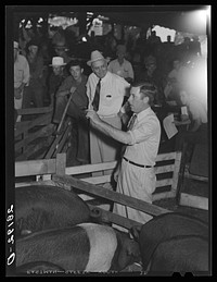 Hog auction. Central Iowa Fair, Marshalltown, Iowa. Sourced from the Library of Congress.