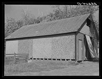 Corn crib sealed under ever-normal granary plan. Plager farm, Grundy County, Iowa. Sourced from the Library of Congress.