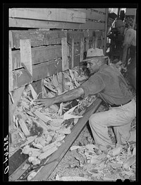 Emptying corn-cribs in order to shell corn. Passmore farm, Polk County, Iowa. Sourced from the Library of Congress.