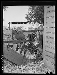 [Untitled photo, possibly related to: Emptying corn-cribs in order to shell corn. Passmore farm, Polk County, Iowa]. Sourced from the Library of Congress.