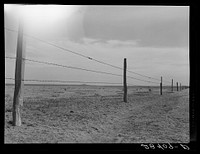 [Untitled photo, possibly related to: Barbed wire fence on arid land. Weld County, Colorado]. Sourced from the Library of Congress.