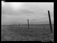 Barbed wire fence on arid land. Weld County, Colorado. Sourced from the Library of Congress.