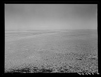 [Untitled photo, possibly related to: Arid land. Weld County, Colorado]. Sourced from the Library of Congress.