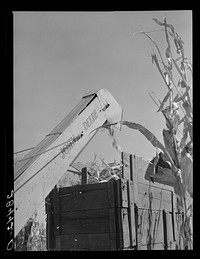 [Untitled photo, possibly related to: Corn picker. Grundy County, Iowa]. Sourced from the Library of Congress.