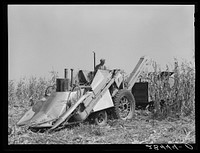 Harvesting hybrid corn with mechanical picker. Grundy County, Iowa. Sourced from the Library of Congress.
