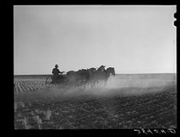 Fred Schmeeckle, FSA (Farm Security Administration) borrower, drilling wheat on his dry-land farm. Weld County, Colorado. Sourced from the Library of Congress.