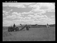 Harvesting grain on farm of FSA (Farm Security Administration) client near San Luis, Colorado. Sourced from the Library of Congress.