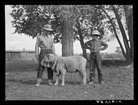 FSA (Farm Security Administration) borrower Emil Zaffle and son with ram on their farm. Conejos County, Colorado. Sourced from the Library of Congress.