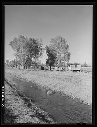 Migrant potato pickers' shacks near irrigation ditch. Rio Grande County, Colorado. Sourced from the Library of Congress.