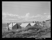 Migrant potato pickers' tents. Rio Grande County, Colorado. Sourced from the Library of Congress.
