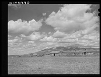 Farmstead. San Luis Valley Farms, Colorado. Sourced from the Library of Congress.