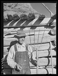 Tom Reilly, FSA (Farm Security Administration) rehabilitation client on his farm near Hotchkiss, Colorado. Sourced from the Library of Congress.