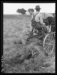 Alfred Peterson, tenant purchase borrower, plowing on his farmstead. Mesa County, Colorado. Sourced from the Library of Congress.
