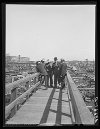 Ranchers at stockyards. Denver, Colorado. Sourced from the Library of Congress.