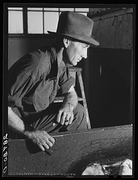 Worker in sugar beet factory. Brighton, Colorado. Sourced from the Library of Congress.