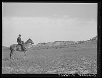 Quarter Circle 'U' Ranch roundup. Big Horn County, Montana. Sourced from the Library of Congress.