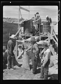 [Untitled photo, possibly related to: Filling a bag with poison bait for grasshoppers. Forsyth, Montana]. Sourced from the Library of Congress.
