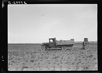 Farmer spreading poison grasshopper bait in sugar beet field. Forsyth, Montana. Sourced from the Library of Congress.