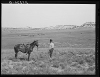[Untitled photo, possibly related to: Quarter Circle 'U' Ranch roundup. Big Horn County, Montana]. Sourced from the Library of Congress.