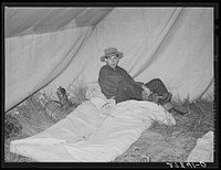 Cowboy going to bed. Quarter Circle 'U' Ranch roundup. Big Horn County, Montana. Sourced from the Library of Congress.