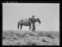 Cowhand. William Tonn ranch, Custer County, Montana