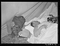 Rancher asleep. Quarter Circle 'U' Ranch roundup. Big Horn County, Montana. Sourced from the Library of Congress.