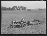 Spreading manure. Kimberley farm, Jasper County, Iowa. Sourced from the Library of Congress.