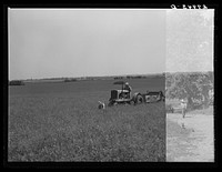 [Untitled photo, possibly related to: Farmer pulling disc and harrow across plowed field. Kimberley farm, Jasper County, Iowa]. Sourced from the Library of Congress.