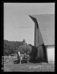 [Untitled photo, possibly related to: Filling the hayloft. Maxwell farm, Jasper County, Iowa]. Sourced from the Library of Congress.