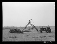[Untitled photo, possibly related to: Loading hay with a jayhawk. Kimberley farm, Jasper County, Iowa]. Sourced from the Library of Congress.