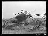 Loading hay with a jayhawk. Kimberley farm, Jasper County, Iowa. Sourced from the Library of Congress.