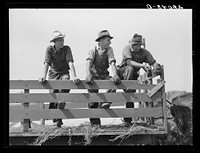 [Untitled photo, possibly related to: Hired hands. Kimberley farm, Jasper County, Iowa]. Sourced from the Library of Congress.