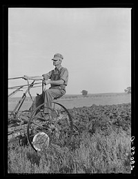 Martin Ryken driving ten-horse team. Hardin County, Iowa. Sourced from the Library of Congress.