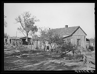 Tiff miner's home at paw-paw patch. Washington County, Missouri. Sourced from the Library of Congress.