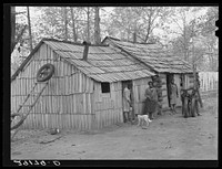 Cabins built by evicted sharecroppers. Butler County, Missouri. Sourced from the Library of Congress.
