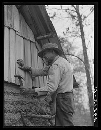 Evicted sharecropper building a cabin. Butler County, Missouri. Sourced from the Library of Congress.