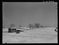 [Untitled photo, possibly related to: Farm. Rappahannock County, Virginia]. Sourced from the Library of Congress.