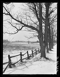 Farm scene. Montgomery County, Maryland. Sourced from the Library of Congress.