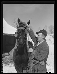 [Untitled photo, possibly related to: Ira Ison, rehabilitation client, bought two horses with his loan from the FSA (Farm Security Administration). Ross County, Ohio]. Sourced from the Library of Congress.