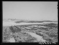 Melting snow. Hayes County, Nebraska. Sourced from the Library of Congress.